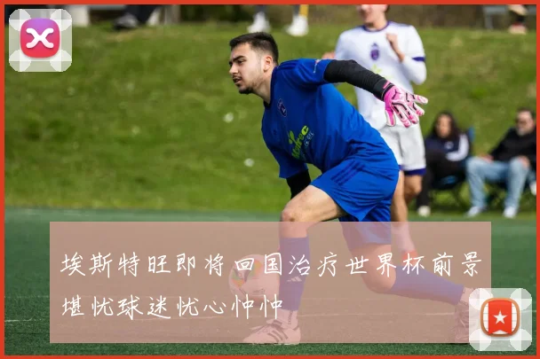 埃斯特旺即将回国治疗世界杯前景堪忧球迷忧心忡忡