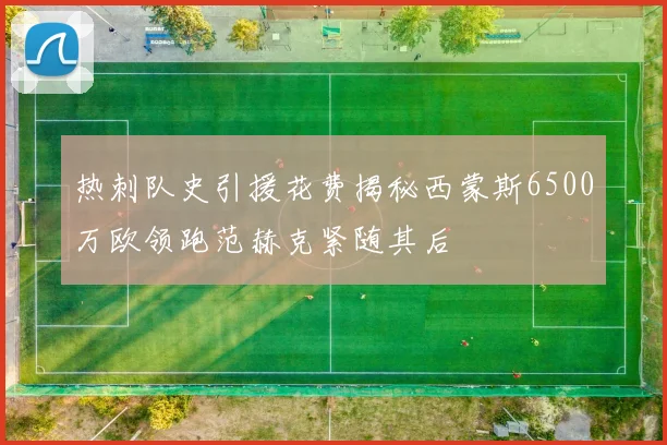 热刺队史引援花费揭秘西蒙斯6500万欧领跑范赫克紧随其后